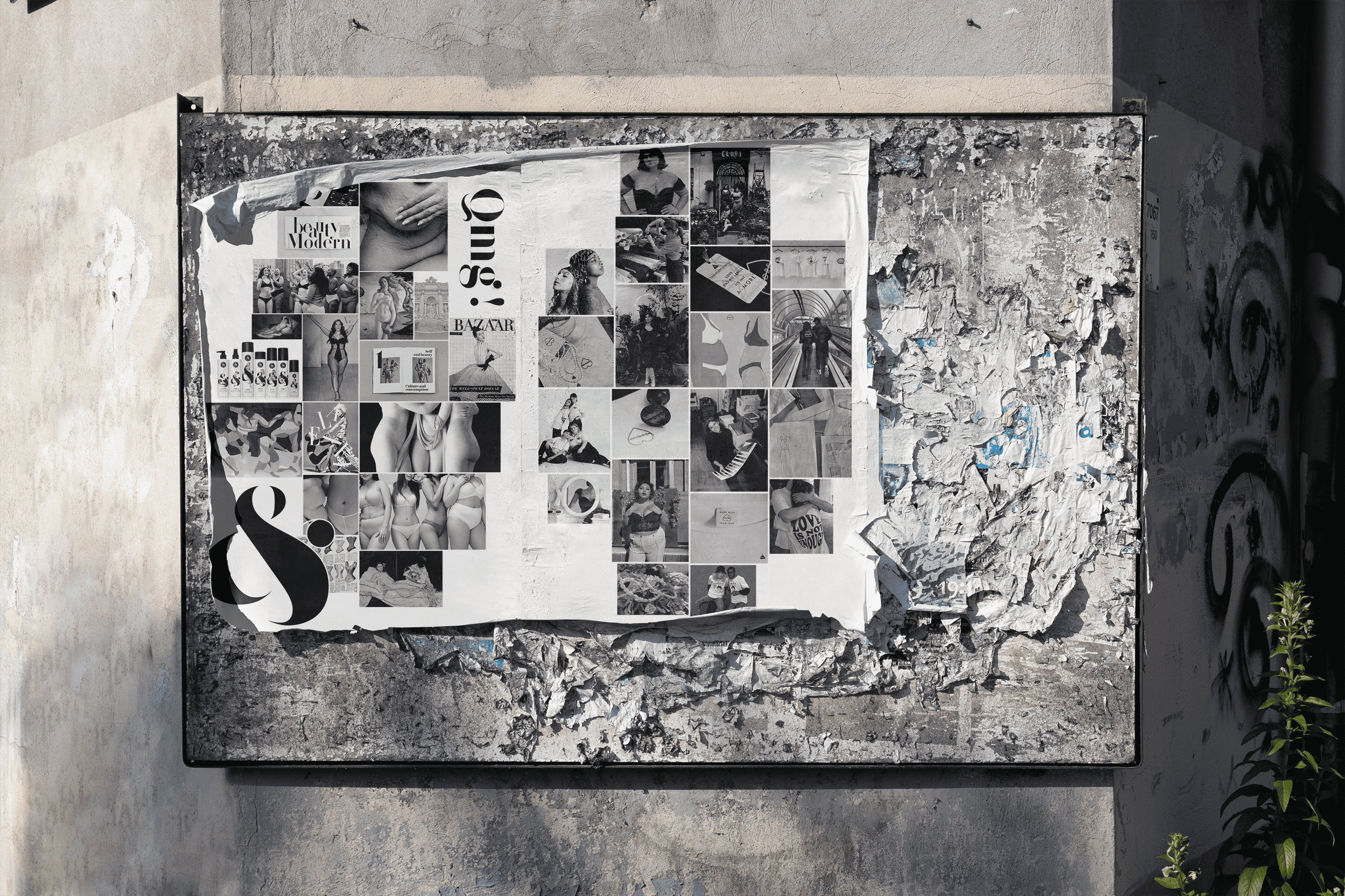 Foto progetto Bella - Orizzontale Grande