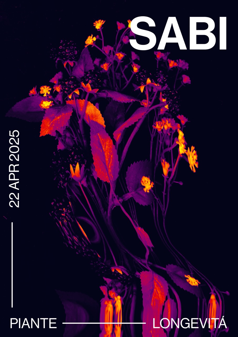 Foto progetto Sabi - Piccola