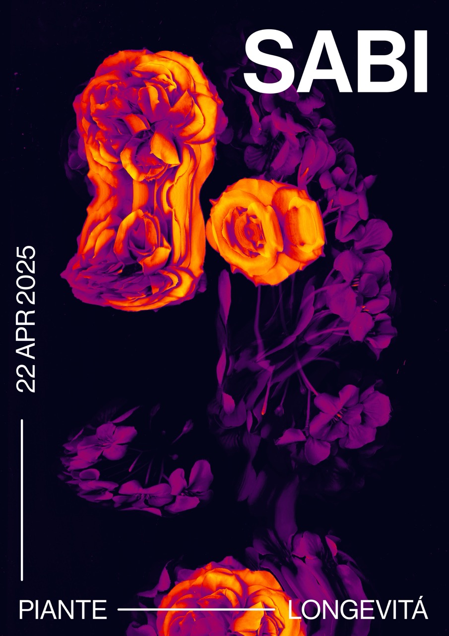 Foto progetto Sabi - Media